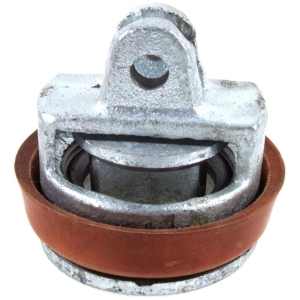 Plunger Complete with Washer